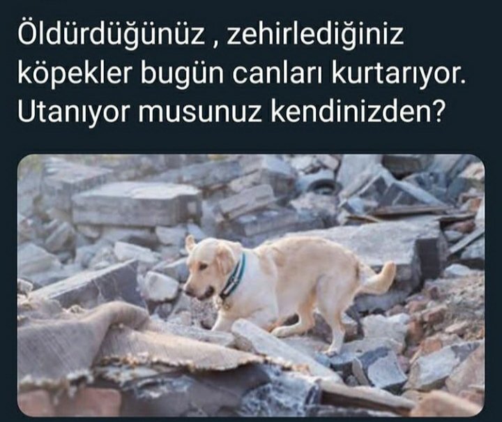 HseynovaSbin1's tweet photo. #izmir https://t.co/GoiDFYwr3P