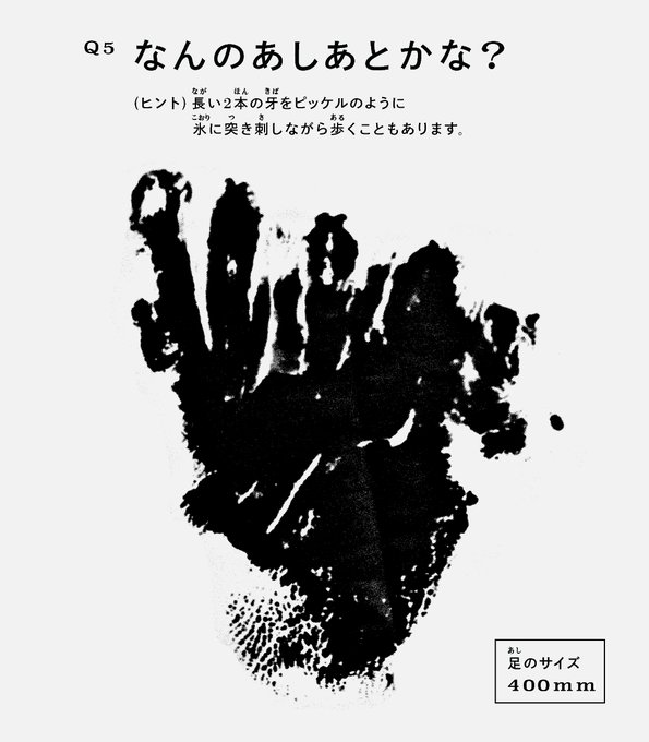 オットセイのtwitterイラスト検索結果