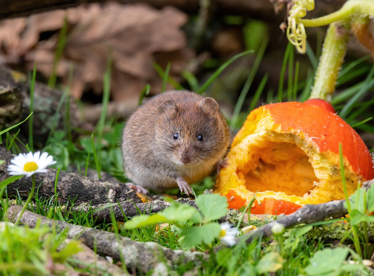 Jon Kelf tweet media