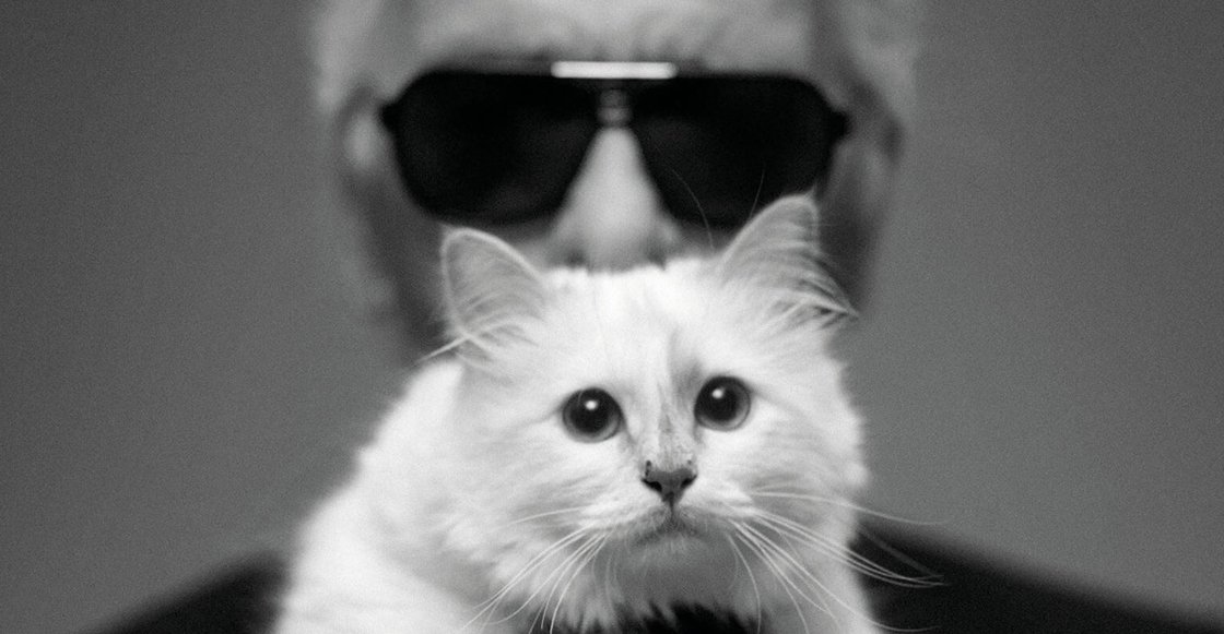 rvoneinem's tweet photo. #PererLindbergh ๐พ #Caturday ๐พ https://t.co/gzN7M9q8Ew