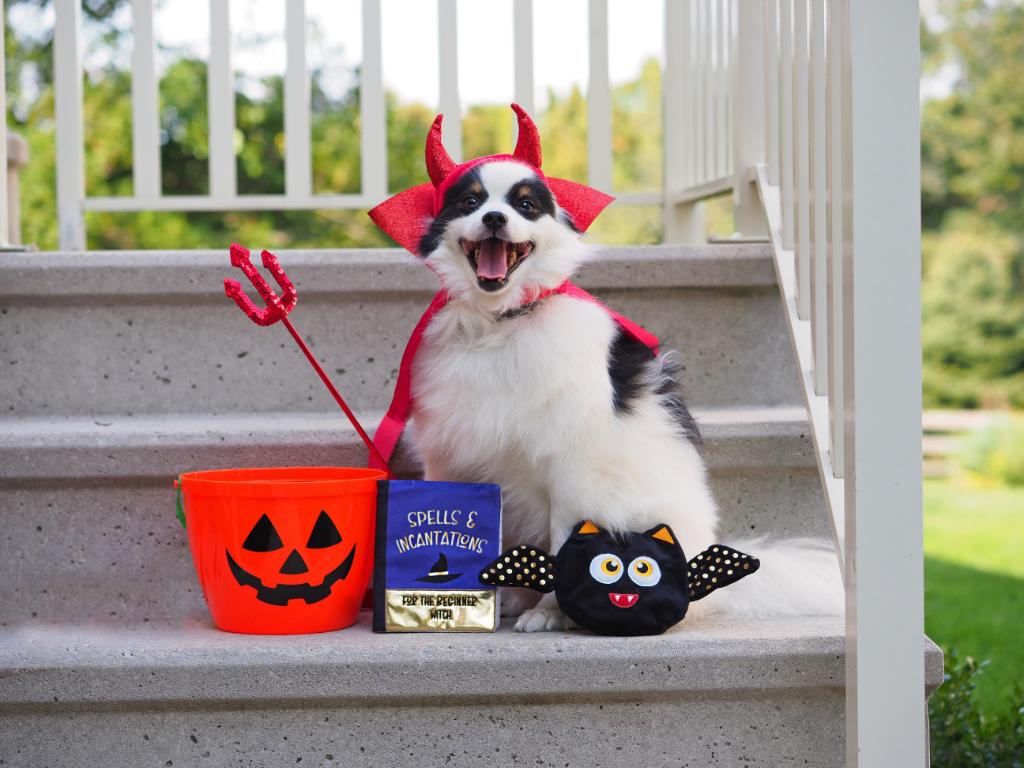 Petco tweet media
