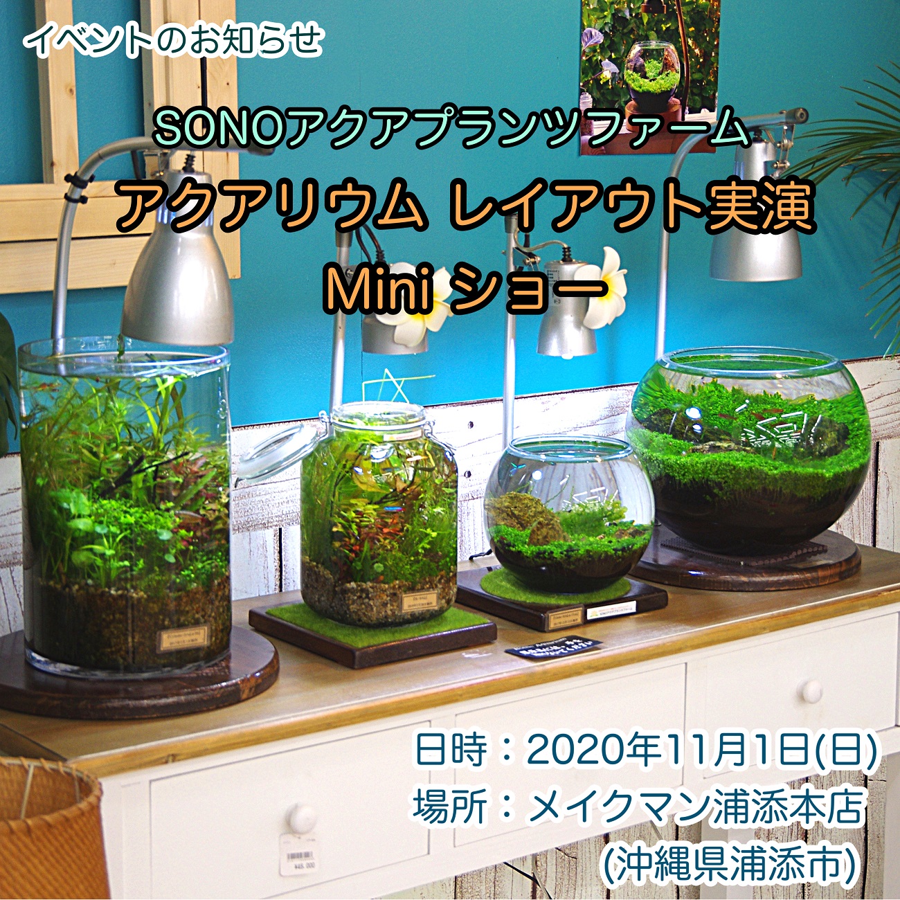 Sonoアクアプランツファーム على تويتر 明日11 1 日 開催 ボトルアクアリウムの環境構築や 砂利底床での水草レイアウトの作り方etc Sonoの独自メソッドを実演 説明します メイクマン浦添本店でお待ちしております 水草水槽のお悩み相談もお気軽に 水槽の Sonoアクアプランツファーム على تويتر 明日11 1 日 開催 ボトルアクアリウムの環境構築や 砂利底床での水草レイアウトの作り方etc Sonoの独自メソッドを実演 説明します メイクマン浦添本店でお待ちしております 水草水槽のお悩み相談もお気軽に 水槽の