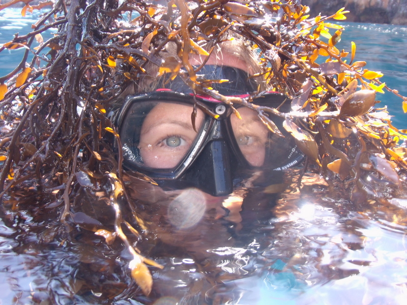 Trick or treat!
#weekendweather #poorKnights Warm and tropical light northerlies. diving.co.nz/news/31st-octo…