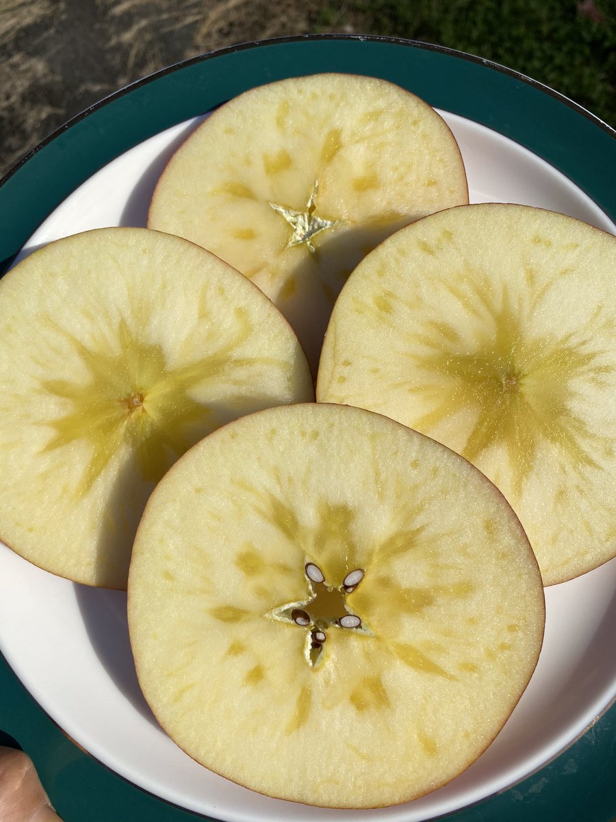 りんごの栄養丸ごと取れて ゴミもほぼ出ず簡単な スターカット なる切り方 食べ方が話題に 1石4鳥 世の中が追いついてきた Togetter