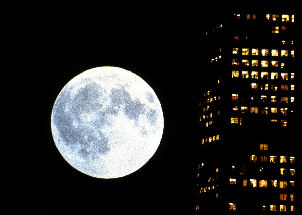 Koyaanisqatsi - Godfrey Reggio (1982)