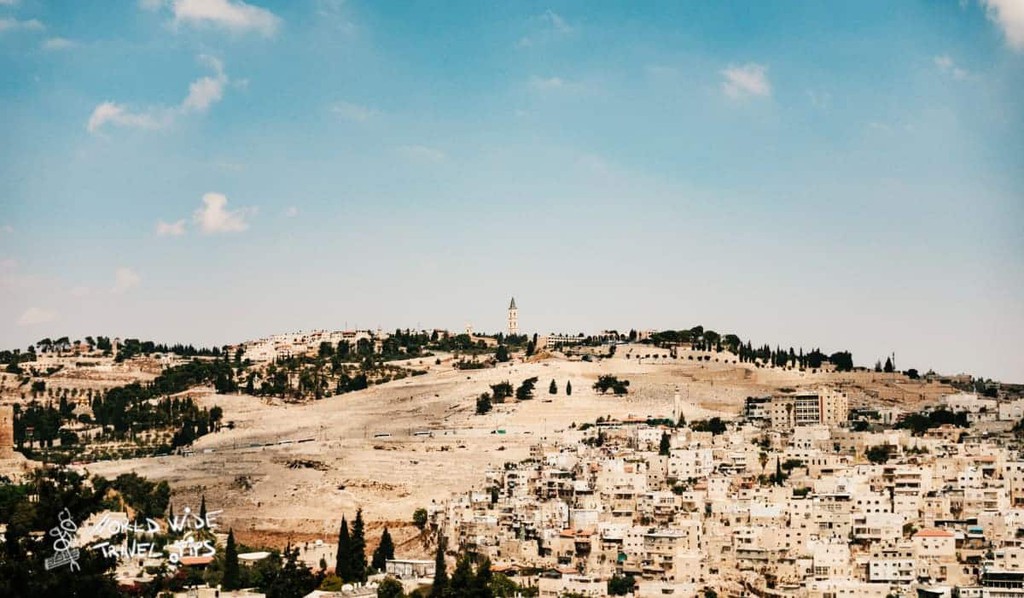 Worldwidettips's tweet photo. Mount of Olives cemetery, oldest Jewish cemetery on Earth
▸ https://t.co/wrycDMR2Nc
#SignificantJewishCemetery #JewishMount #EasternPart #Worldwidetraveltips #Traveltips #Travel #CemeteryOnMountOfOlives #MountOfOlivesCemetery #ChurchOnMountOfOlives #MountOlivet https://t.co/D1Zx3sVKDP