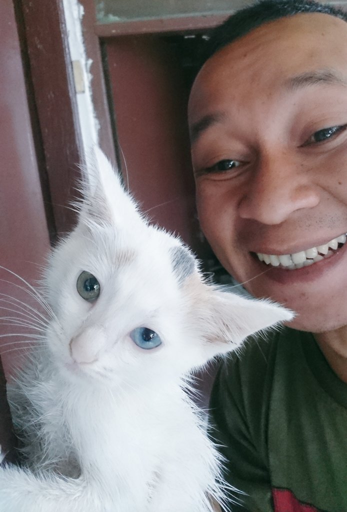 Bukan efek kamera, tp memang mata kucing nya yg unik. #pecintakucing #catlovers