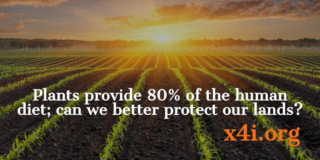 X4Impact's tweet photo. Plants provide 80% of our diet - can we take better care of our lands? Explore related tech innovations, open challenges, Grants, and 6 million data insights in #X4Impact portal https://t.co/XDtits10Iw #Tech4PI #GetTheFacts #savetheplanet #environment #Earth #Tech4Good #Green https://t.co/j81hMS3knb