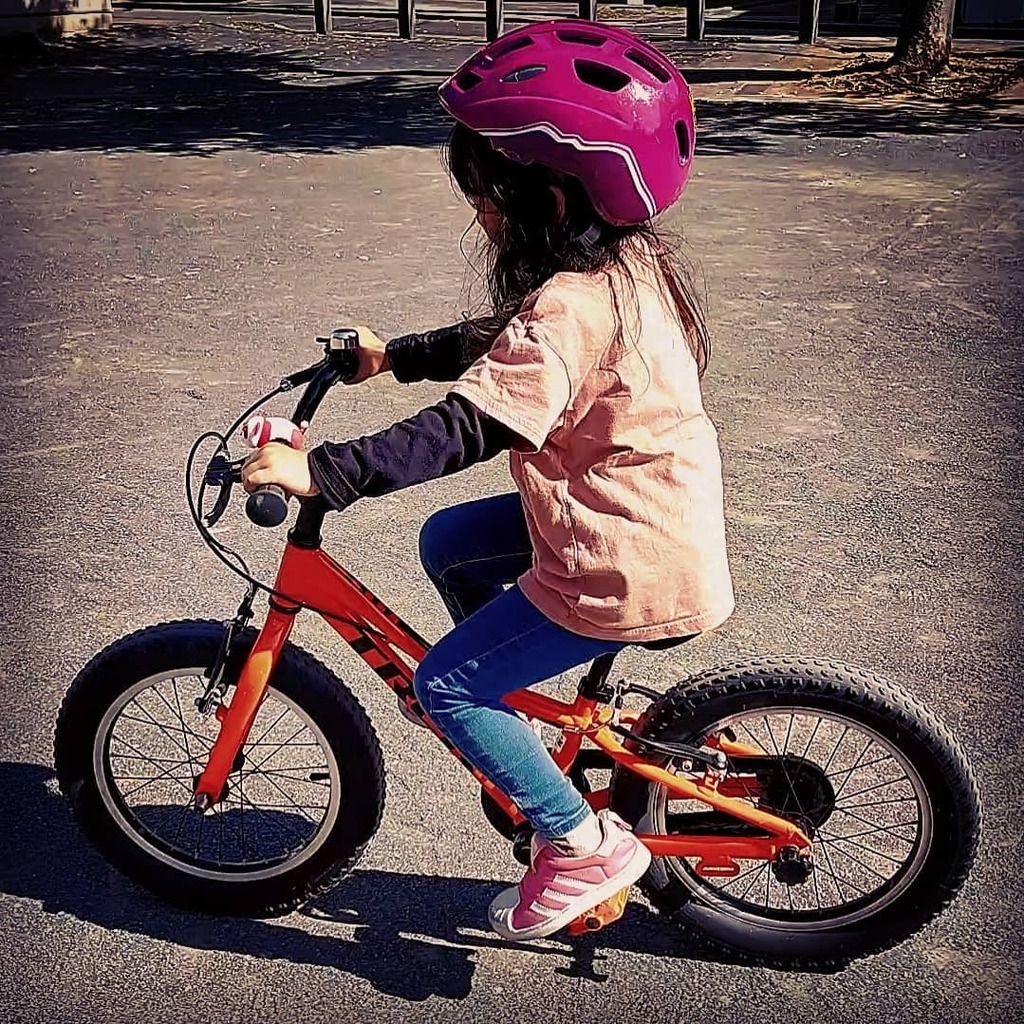 pokiiio's tweet photo. ほぼ乗れたなこれは。
#trek #precaliber https://t.co/XiEWJQmJ8n https://t.co/F2lEkVmuGk