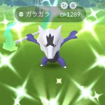 ポケモンgoで 色違いアローラガラガラ が話題に ポケgo トレンディソーシャルゲームス