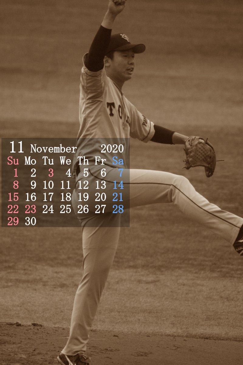 癌患者が撮影したスポーツ写真 ２０２０年１１月のカレンダー 畠世周 せいしゅう どなたでも どうぞ デスクトップ壁紙やスマートフォンの背景 待受画面にご利用ください