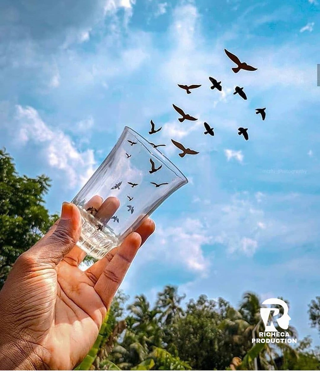Richedisorder's tweet photo. Antoulèka sa se travay Mwen fè sa gen 1ans 
Si tout fwa ou bezwen fè kèk shooting pòt WhatsApp Mwen ouvri sou +50949172226 pa neglije kontakte m. https://t.co/pxO59X5aip