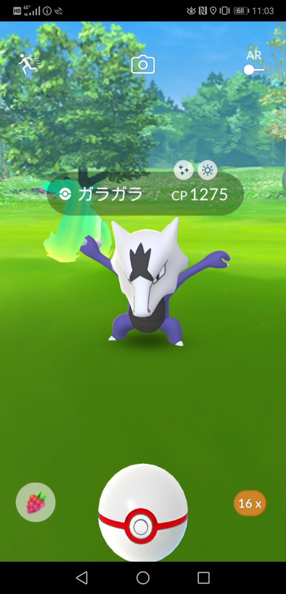 アローラガラガライロチ一発目できたよーーーー ありがとー ポケモンgo 色違い アローラガラガラ ツイレポ アローラガラガライロチ一発目できたよーーーー ありがとー ポケモンgo 色違い アローラガラガラ ツイレポ