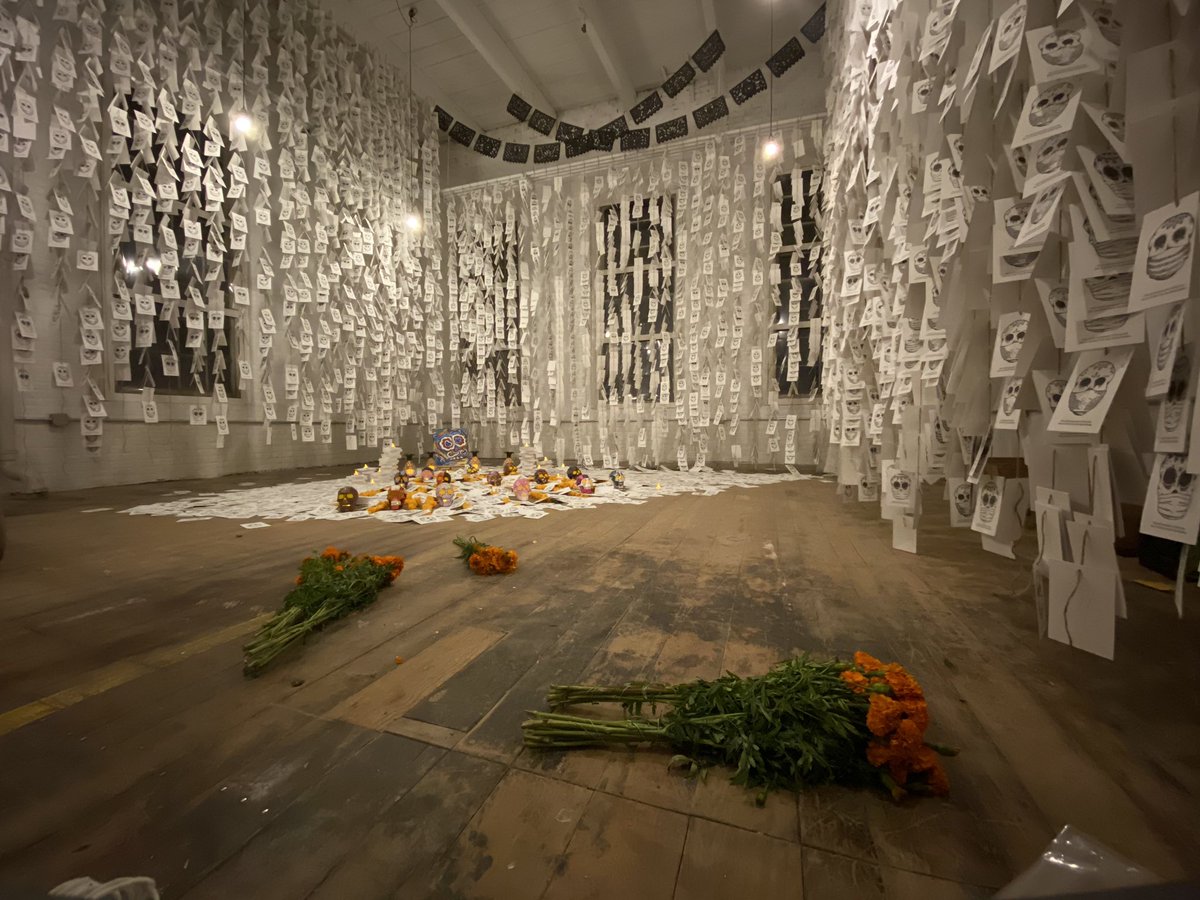 Attack Bear Press tweet media