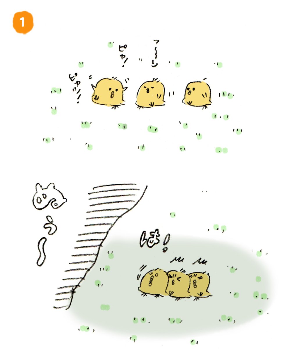 たれひよこ 366日誕生鳥 ハロウィンのつづり間違ったはずかっし ちゃんと調べたのにはずかっしぇ バンド名見て納得してた Helloweenはドイツ ハンブルク出身のパワーメタルバンドです Halloween たれひよこ 366日誕生鳥 ハロウィンのつづり間違ったはずかっし ちゃんと調べたのにはずかっしぇ バンド名見て納得してた Helloweenはドイツ ハンブルク出身のパワーメタルバンドです Halloween