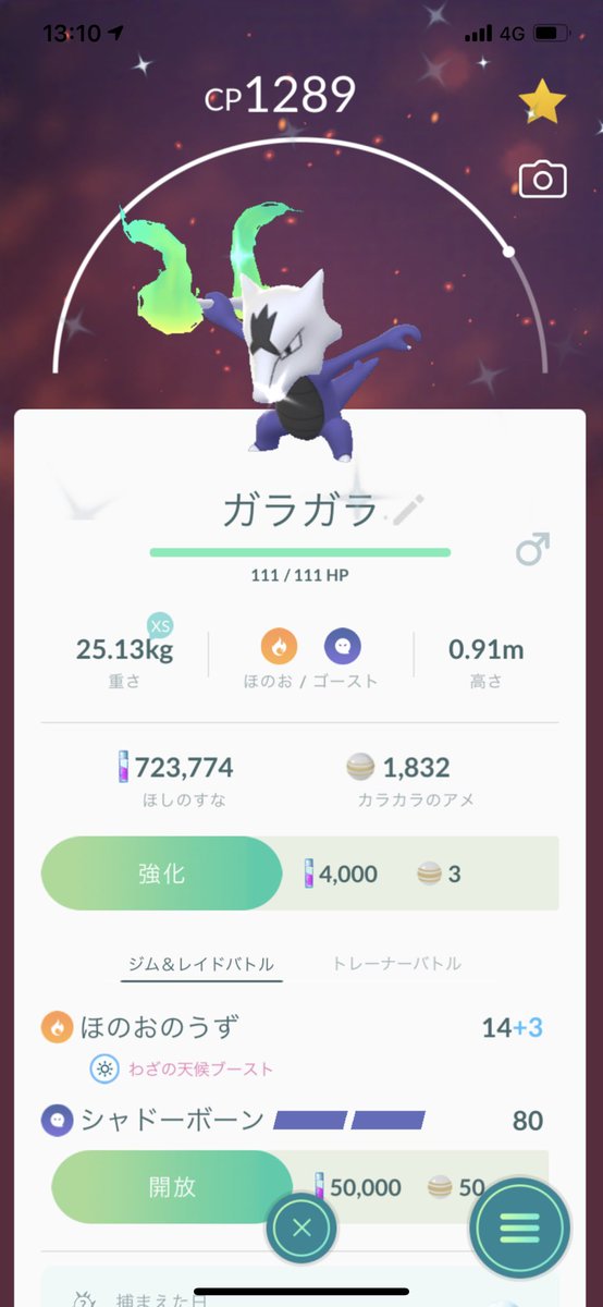 無料パスで 2戦目3戦目と 連続で 色違い 来てくれました アローラガラガラ ポケモンgo ツイレポ