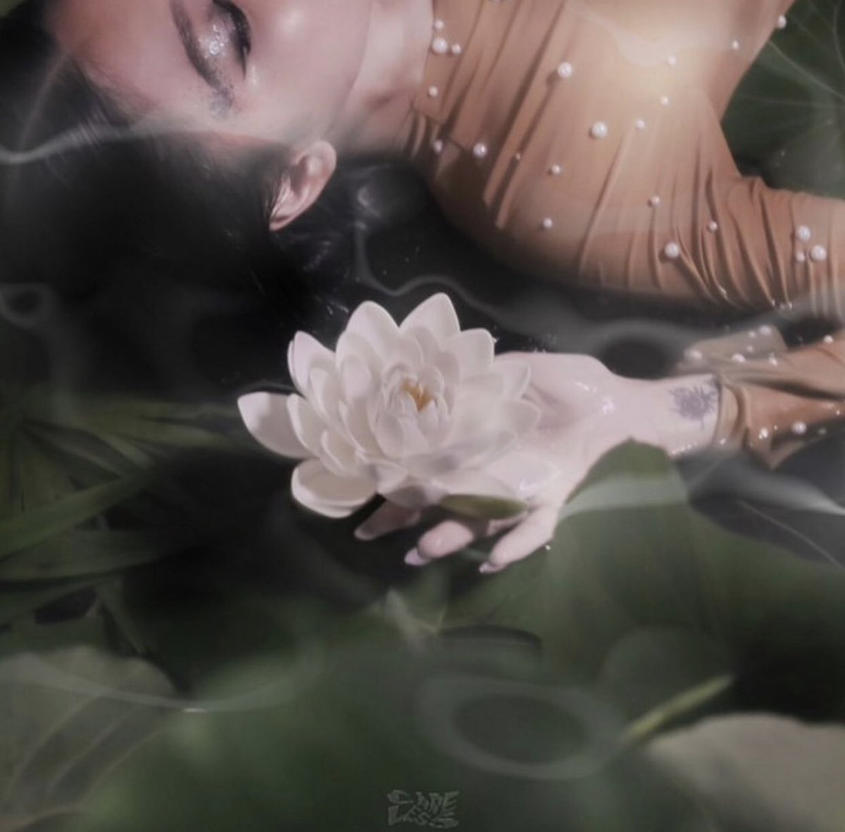 JamesReidPH's tweet photo. WILDEST DREAMS visual album premiere at 9PM on Careless Youtube channel!
https://t.co/WEuLGYmVJR
#NadineWildestDreams #WDAtMidnight https://t.co/7SDkDMPOFf