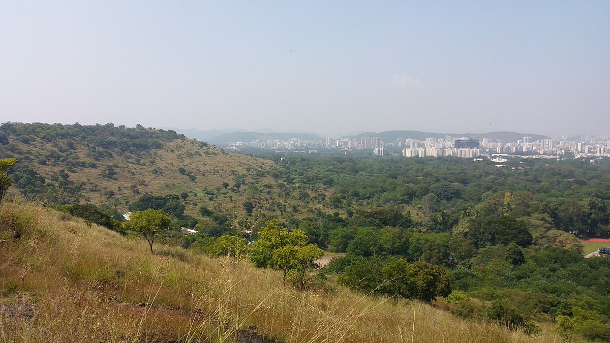 astro_roamer's tweet photo. Exploring #TheWesternGhats this weekend with a 10.7 km hike within city limits with my students 😀🙌🏻 #hikingadventures #exploringmycity #WorkLifeBalance https://t.co/fBXcfxA7ii