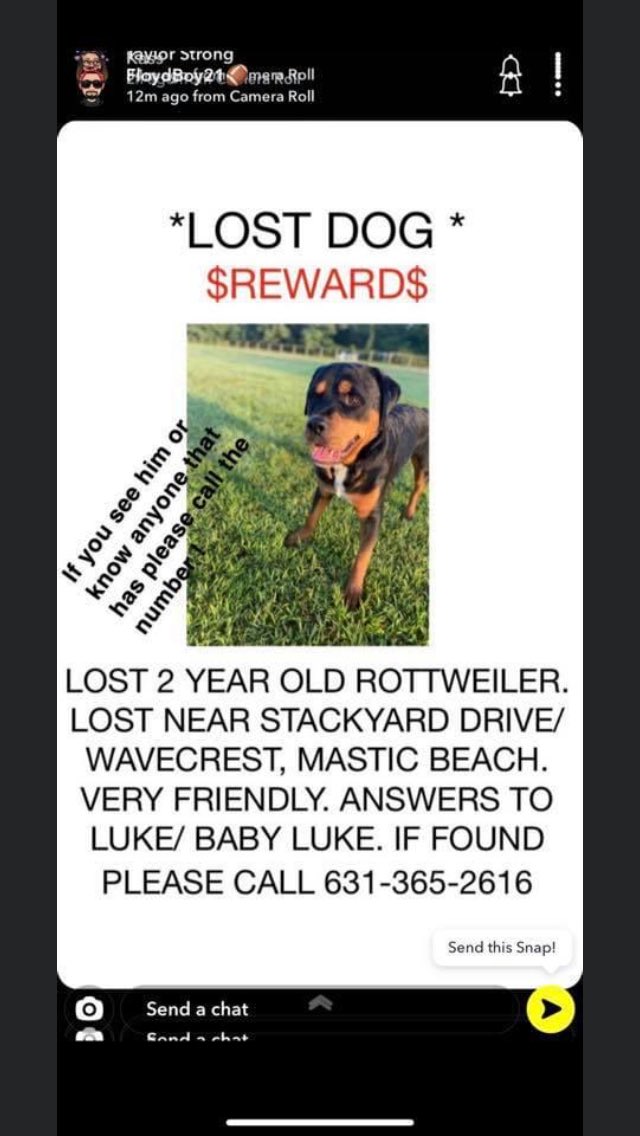 bryanor35926517's tweet photo. If anybody sees this dog please contact the number on the picture the dogs name is Luke he’s only two years old he’s a friendly dog please make sure to keep an eye out thank you https://t.co/s41uVswwVa