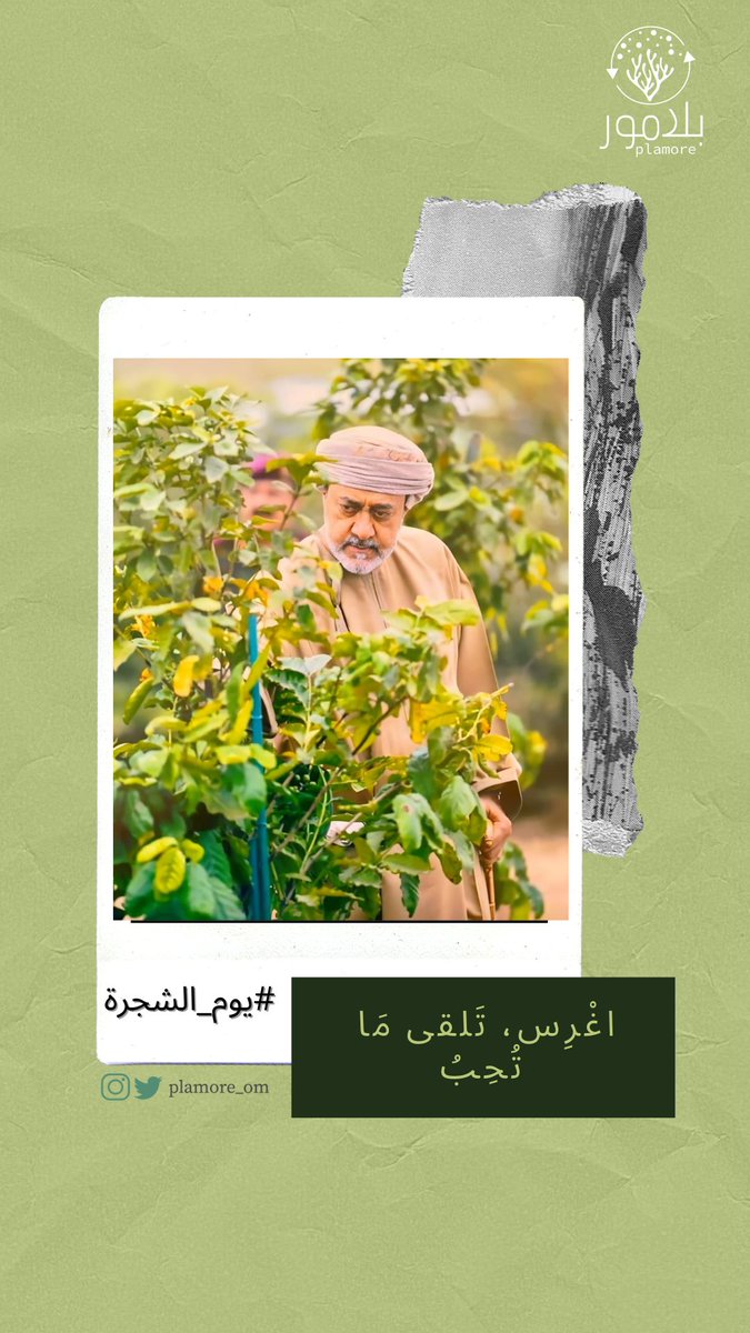 ٣١ أكتوبر من كل عام يوم الشجرة 🌱

عن أنس بن مالك - رضي الله عنه - قال: قال رسول الله - صلى الله عليه وسلم -: " ما من مسلمٍ يغرسُ غرساً أو يَزْرَعُ زَرْعاً فيأكلُ منه طيرٌ أو إنسانٌ أو بهيمةٌ إلاَّ كان له به صدقة"
صدق رسولنا الكريم 

#يوم_الشجره