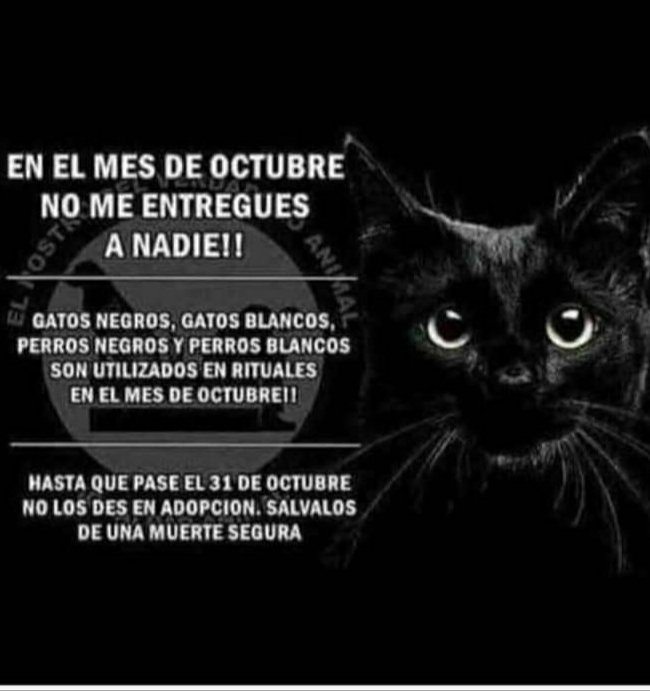 SOS BDN (@sosbadalona) on Twitter photo 