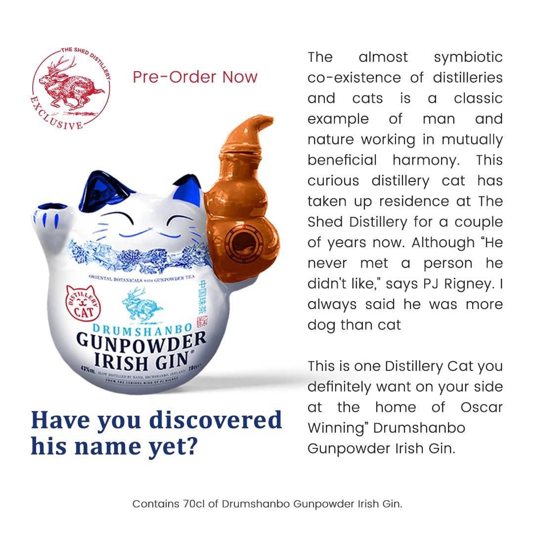 Patrick J Rigney tweet media