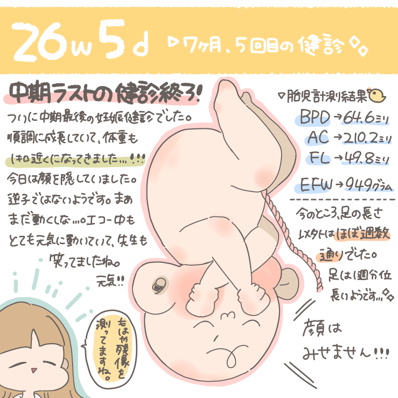 #妊婦日記 #妊婦健診 昨日妊娠7ヶ月の健診でした☺️?すくすく成長しております!もうすぐ1キロ??「もはや残像です」って先生おもしろすぎん?胎盤が思ったより低い位置のようです。まだ時間はあるので…との事でしたが、経産婦焦っております…?上がれ胎盤!どんくらい上がるもんなのか…?? #26w