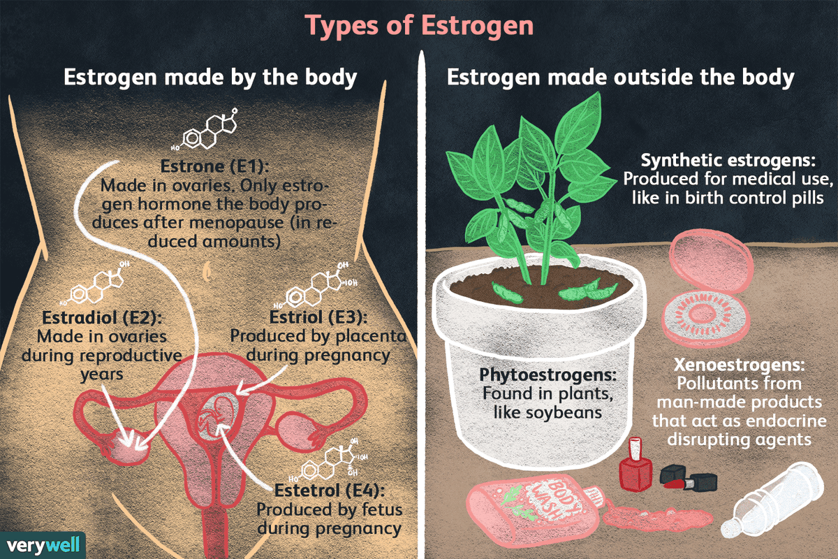 menstrupedia's tweet photo. Know your #estrogen! It isn't just a female sex hormone- different types of estrogen can be found in the human body, certain plant families, and can also be synthetically produced!
#Menstrupedia #periodfact #hormonal #periodpositive #reproductivehealth #menstruators #women #RT https://t.co/gJ5vpEVXcO