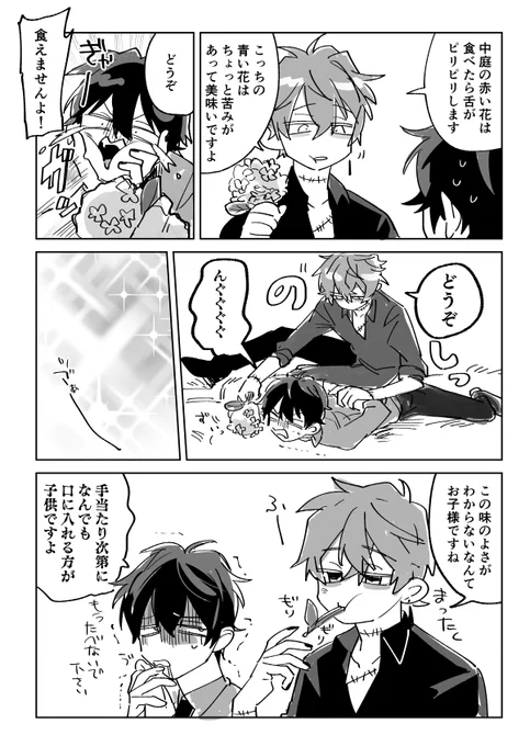 どっかの賢者とミスぴ 