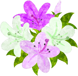 ツツジのtwitterイラスト検索結果 ツツジのtwitterイラスト検索結果