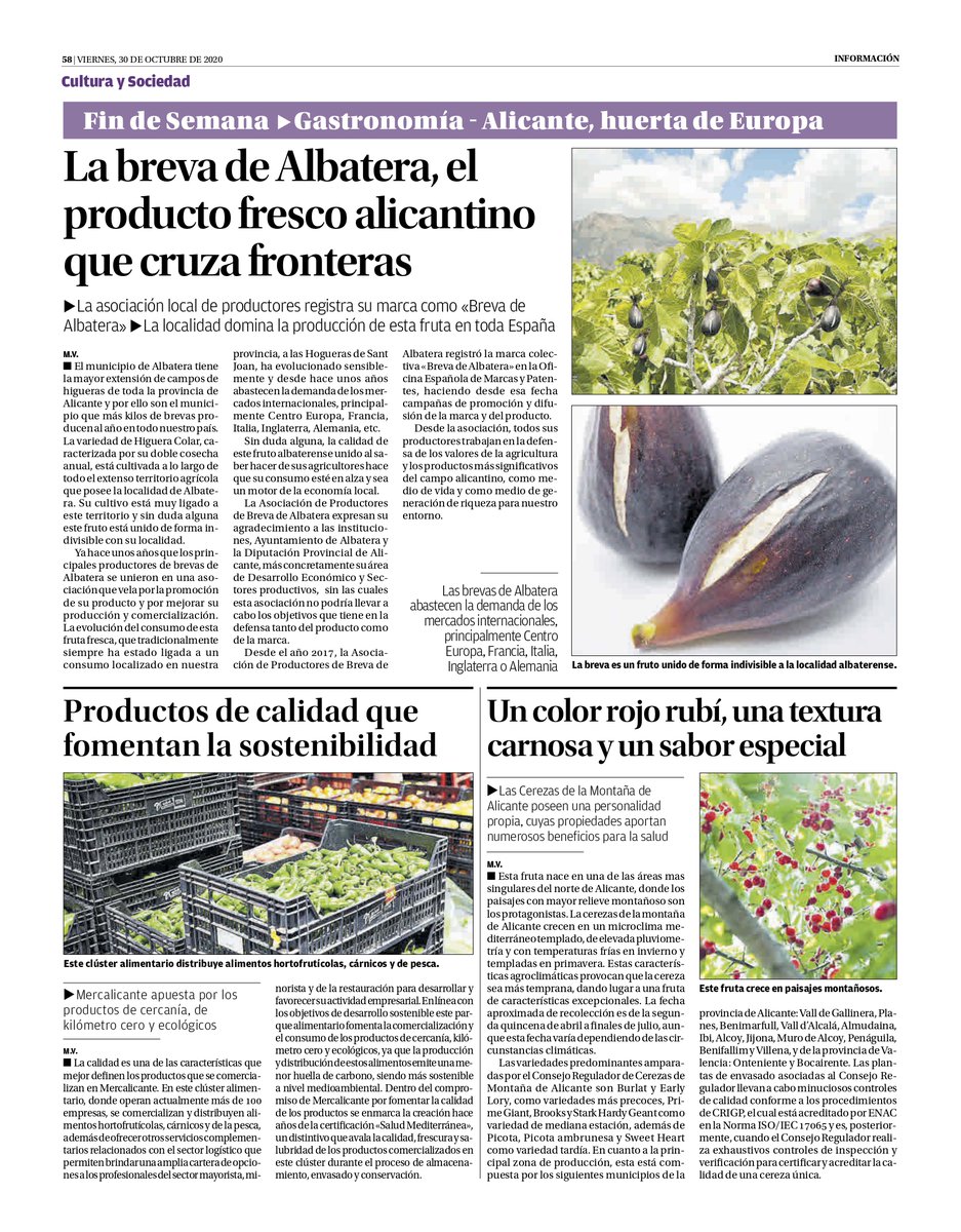 BrevadeAlbatera's tweet photo. La #breva de #Albatera abastece la demanda de mercados internacionales #agricultura https://t.co/uq28T8kADx