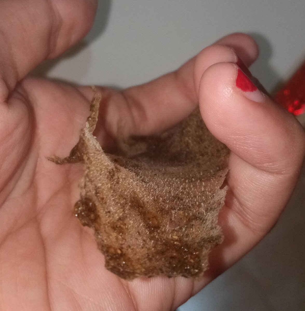 Tes dicoba dan yes!!!! Berhasil🎉✨