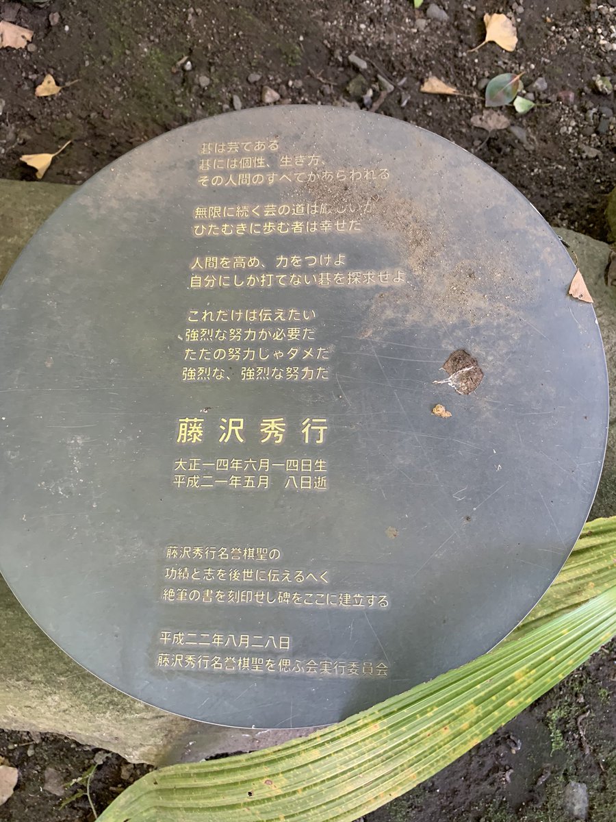 藤沢秀行 藤沢秀行