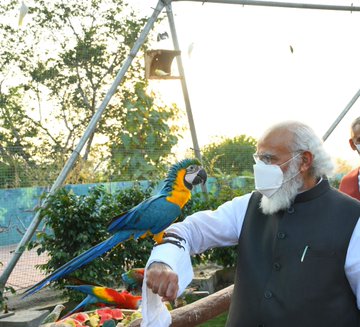 NarrativeHindi's tweet photo. गुजरात के केवड़िया में #StatueOfUnity के पास बने आरोग्य वन का कल प्रधानमंत्री @narendramodi ने उद्घाटन किया. इसमें 380 प्रजाति के पांच लाख पेड़ हैं. इसके साथ ही कैक्टस गार्डन, जंगल सफारी, एकता क्रूज और पोषक पार्क का भी उद्घाटन किया गया.
#INPhotoblog
https://t.co/ug7X1f2qIA https://t.co/cW5HD4m7oQ