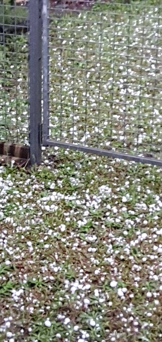 Inserieselectr1's tweet photo. When nature reminds us of its power #NaturePhotography #nature #hail #community #sustainability https://t.co/vElbyit8jt