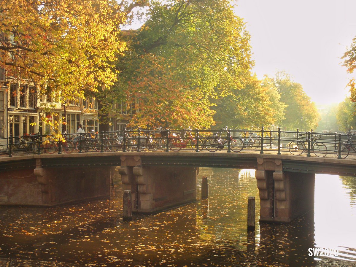 Amsterdamexplor tweet picture