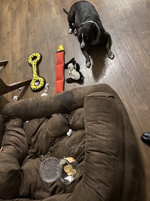 shame https://t.co/3S1LsPDtIu