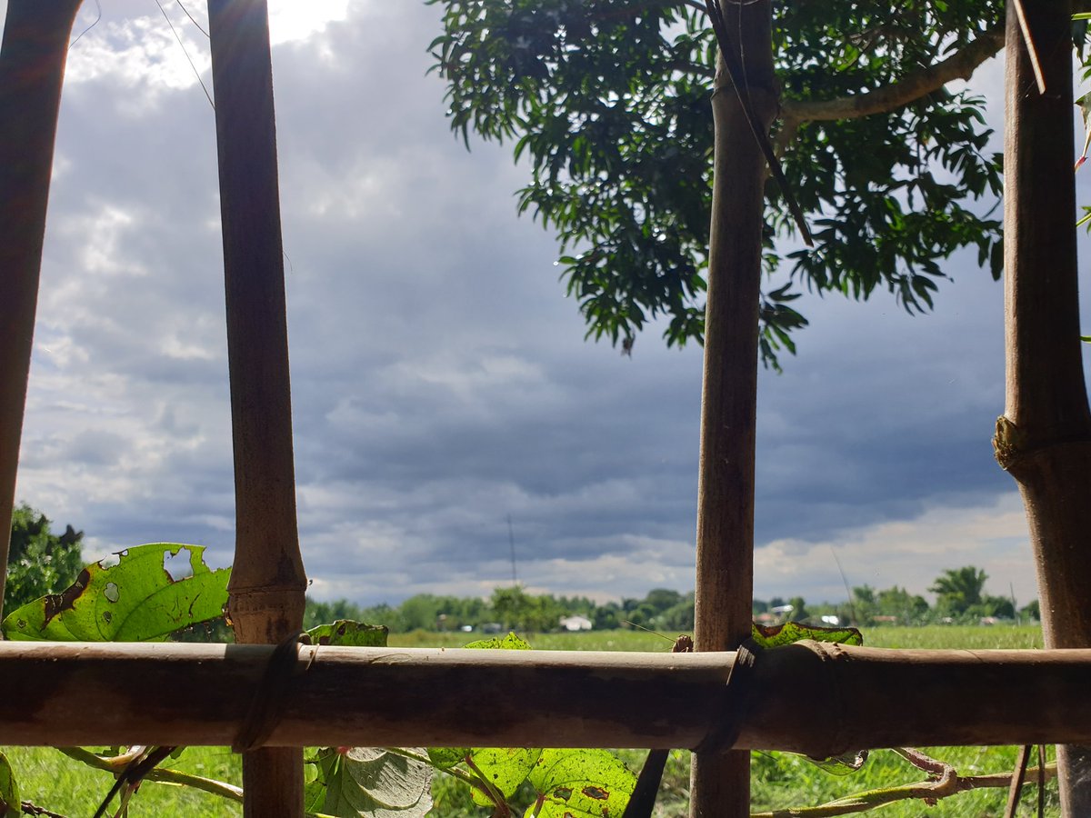 johndacutan's tweet photo. #RollyPH
#ParatingNa https://t.co/8kaiCqzhNj