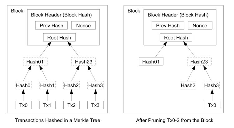 44/To facilitate this without breaking the block’s hash, transactions are hashed in a Merkle Tree [2,5,7], with only the root included in the block’s hash. Old blocks can then be compacted by stubbing off branches of the tree. The interior hashes do not need to be stored.