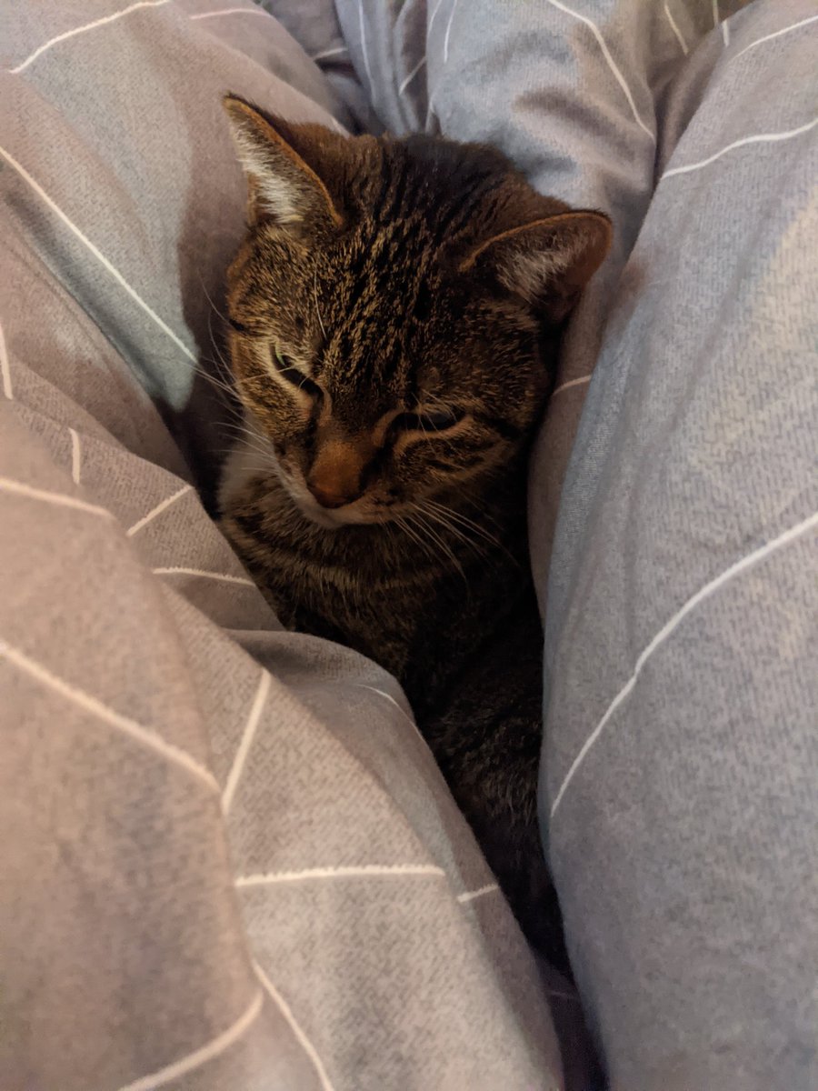 hakuslug's tweet photo. Tuck the bapy in.... https://t.co/CSPjBcOu0V