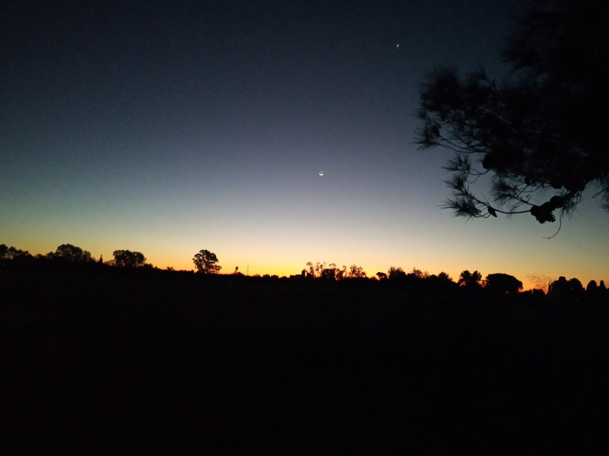 ismaelncfarmer's tweet photo. Pues mientras preparo furgoneta, remolque, desbrozadora y demás aperos despierta el día por el horizonte mediterráneo. ¡Buenos días! #AgropopularOlivar https://t.co/AhWYfm3d7t