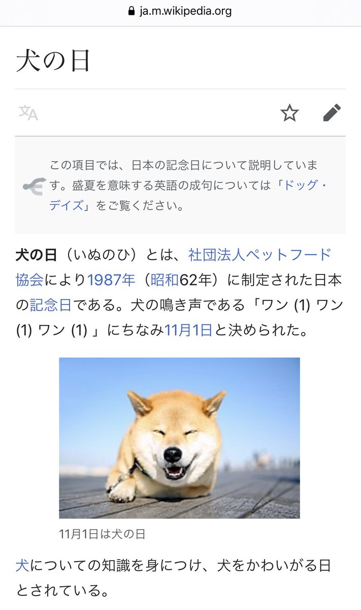 えむずでん オタク父さん 毎年犬の日に義実家の犬宛にプレゼント送ってるんだけど バタバタしてて危うく注文忘れる所だった 危なww この時間から注文しても翌日に届けてくれるアマゾン大好き ドライバーさんに感謝