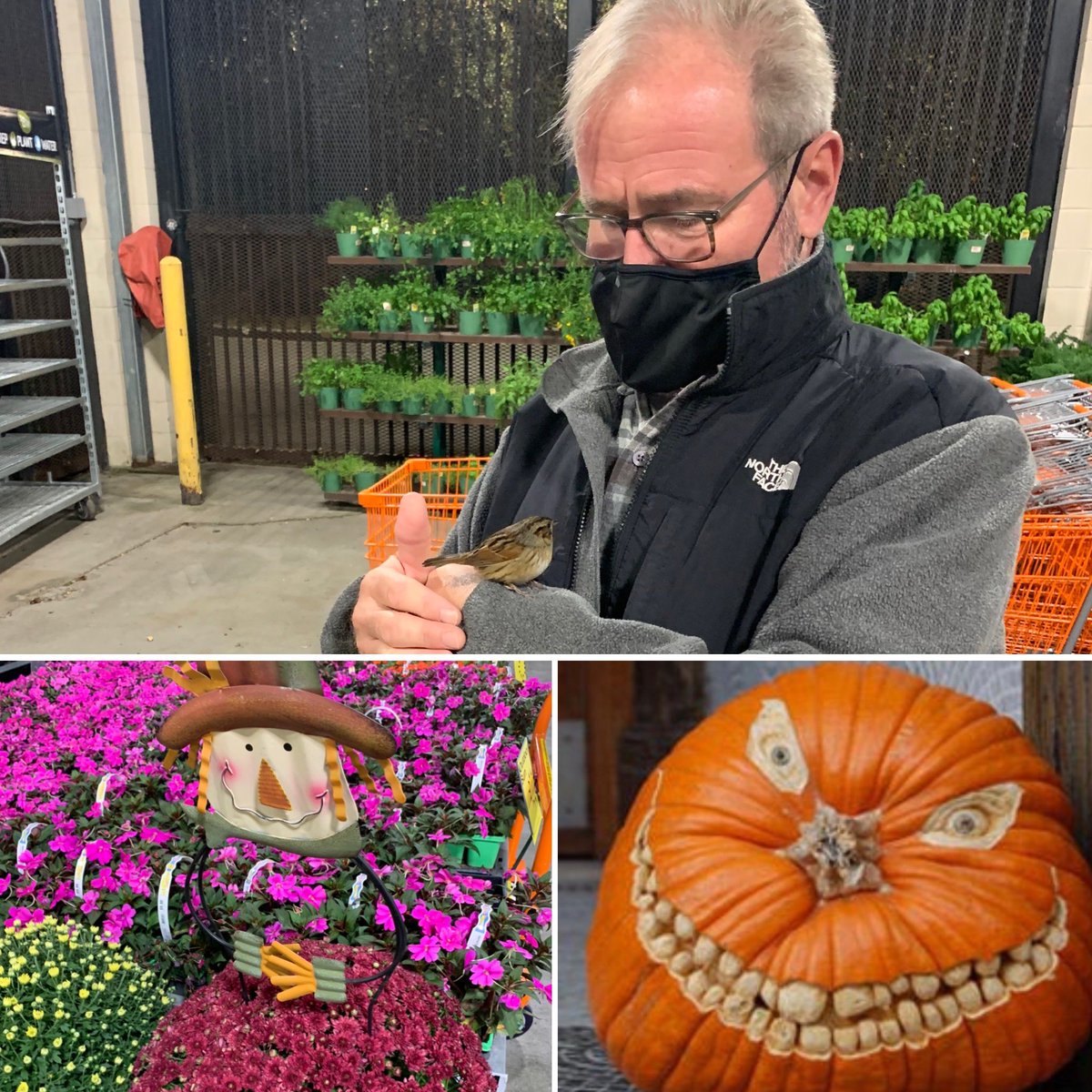 Rise and shine☀️The early bird gets the worm! Russell had a bird greet him first thing this morning✨in our garden department.