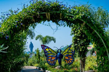  #ButterflyGarden, A fabulous place to see fluttering beauty in the midst of Vindhyachal & Satpura Ranges near  #StatueofUnity. It is home to more than 70 species of butterflies and 150 species of larval host plants & nectar plants2/n