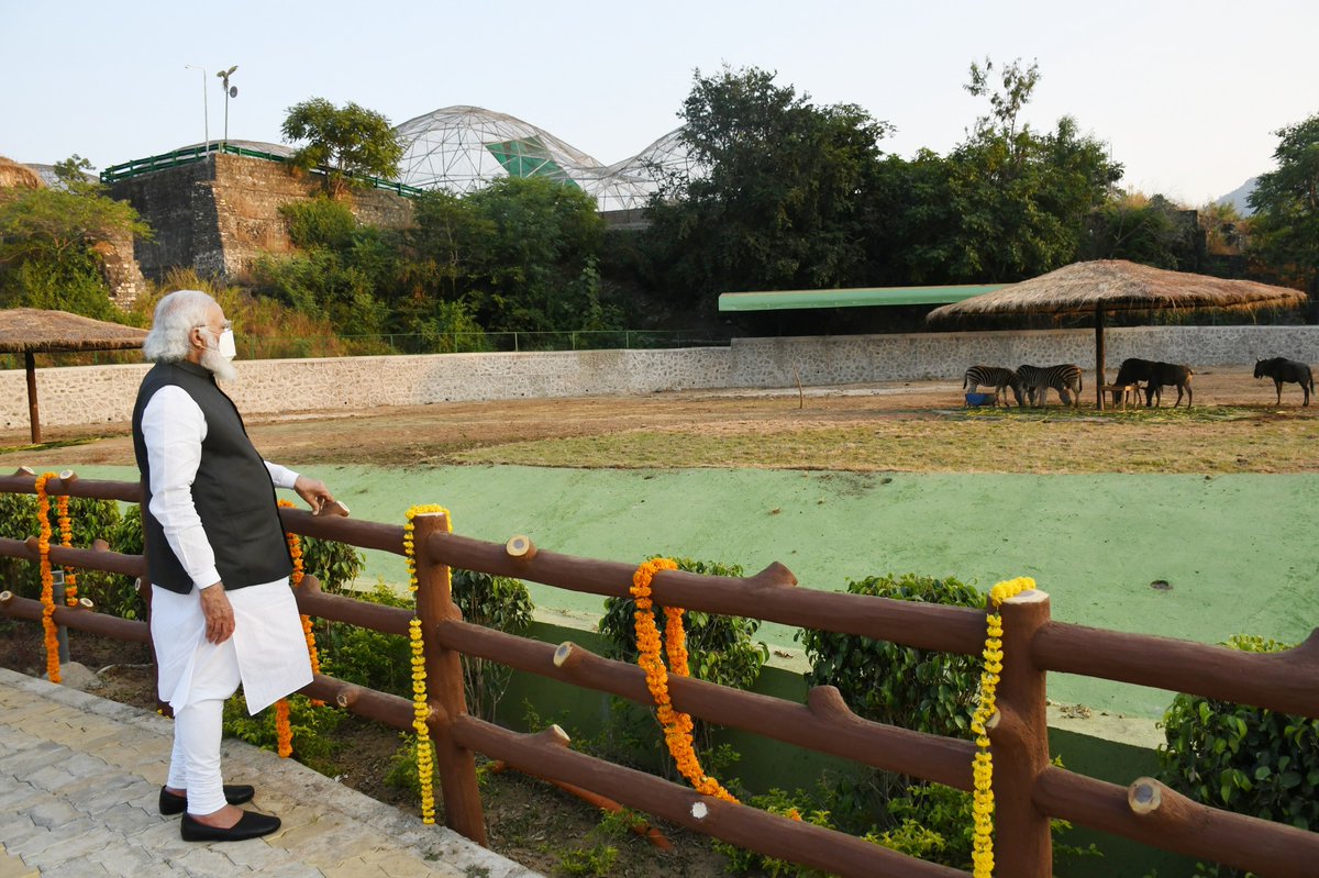 Kevadia offers a unique Jungle Safari, which takes you through the faunal diversity of India. I had the opportunity to visit the Jungle Safari area earlier this evening. Sharing some pictures.6/n