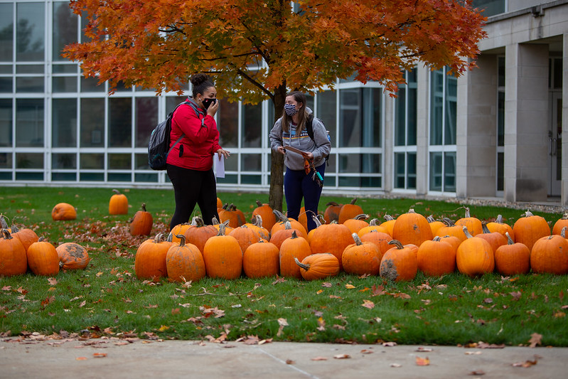 IUKokomo's tweet photo. Happy Halloween! Enjoy some pics from this week's pumpkin patch on campus!

https://t.co/EeMmdIUlkr

#myiuk #IUKStrong #pumpkinlife https://t.co/S9n6uViteE