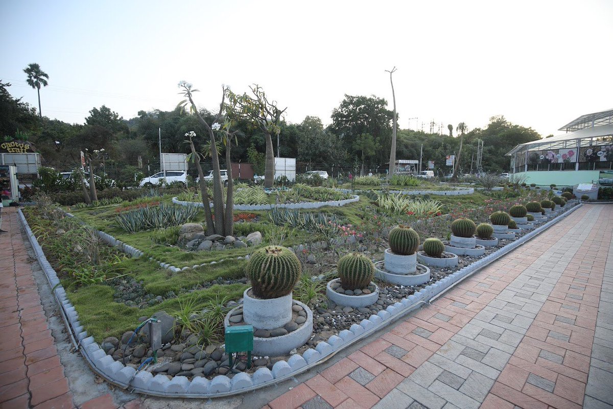  #CactusGarden As you visit the Statue of Unity, make it a point to take a tour around Cactus Garden. Explore the botanical miracle of adaptation. Spend some time learning about the wide variety of cacti preserved in the garden.12/n