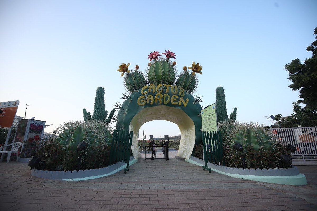  #CactusGarden As you visit the Statue of Unity, make it a point to take a tour around Cactus Garden. Explore the botanical miracle of adaptation. Spend some time learning about the wide variety of cacti preserved in the garden.12/n