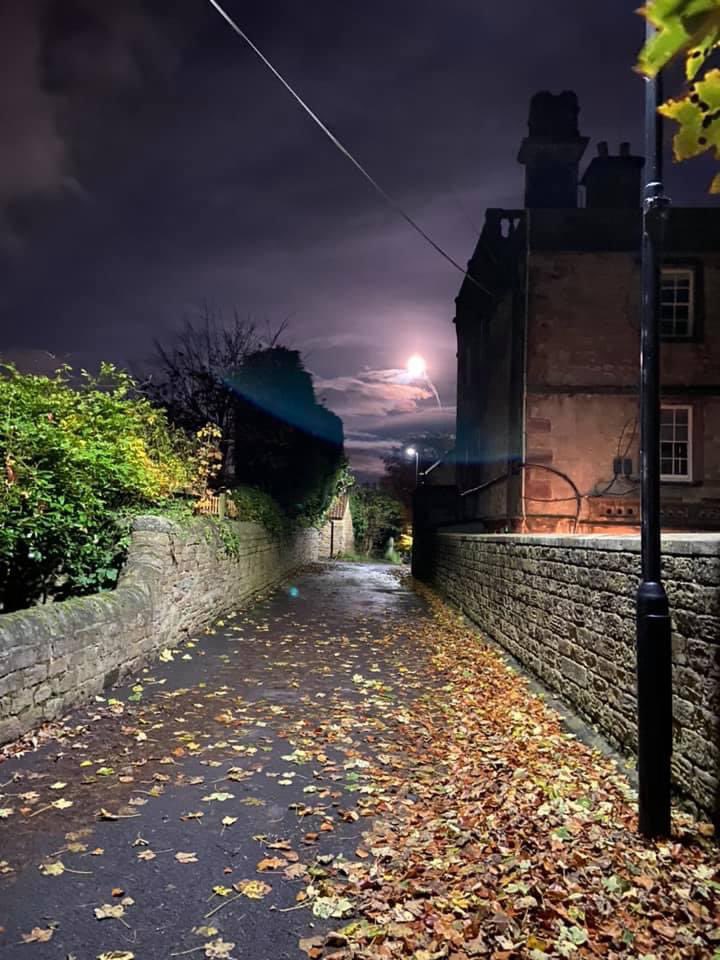 Tommy Teabag Art tweet media