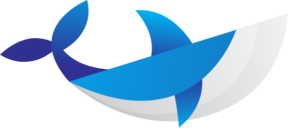 MEGALODON FINANCE tweet media